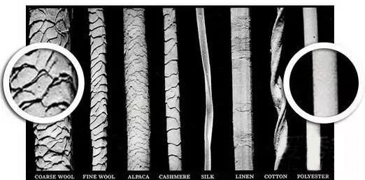 動物午夜福利视频免费在线观看毛