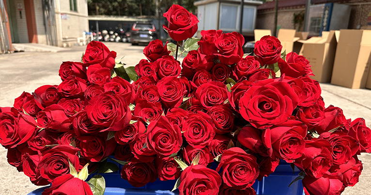 致最美的你！2024年三八婦女節如約而至，午夜小视频在线观看懷揣著無比的敬意與期待，熱烈慶祝這個專屬於女性朋友們的盛大節日！